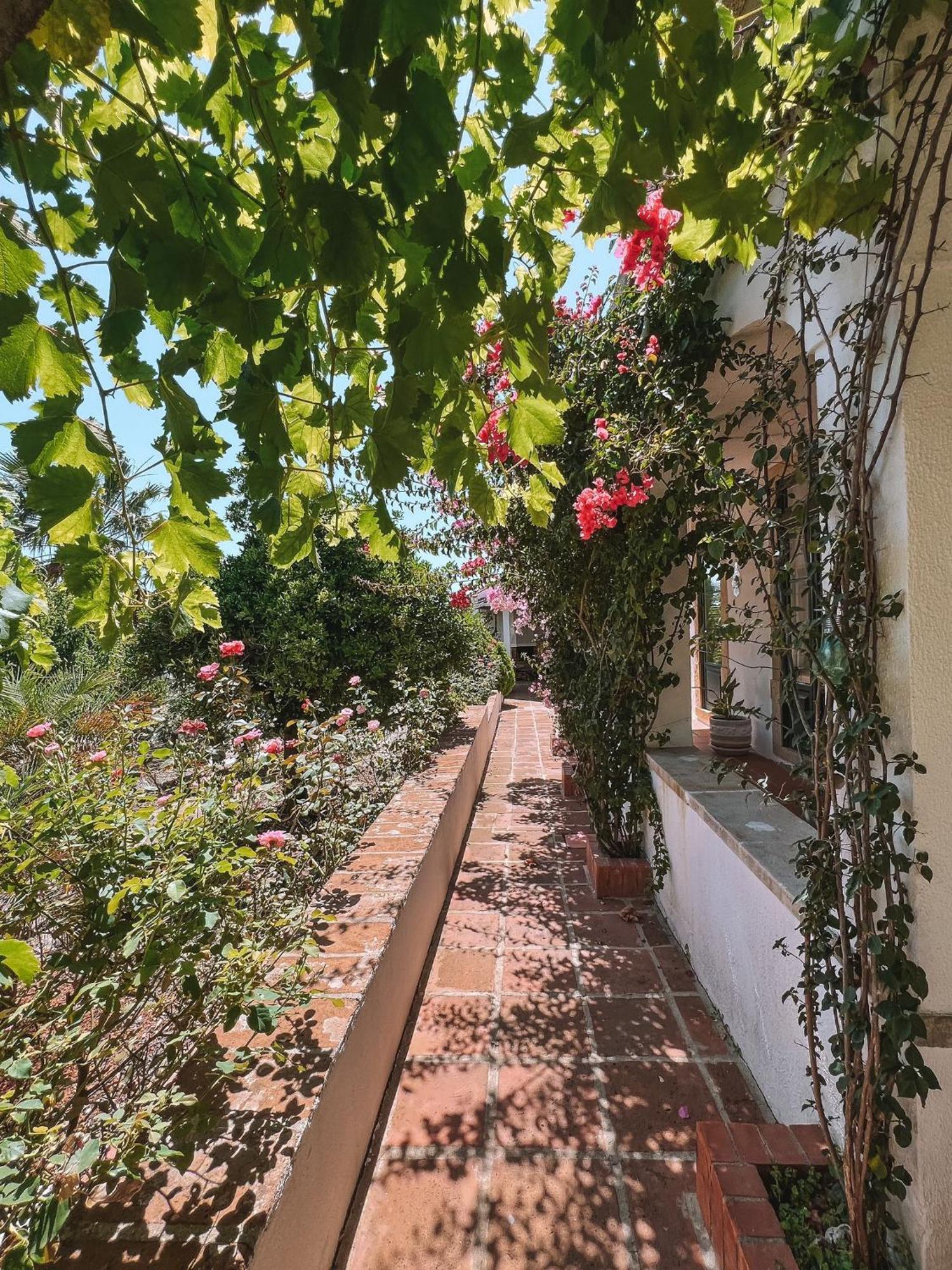 Villa Quinta De Sao Pedro De Tomar Extérieur photo